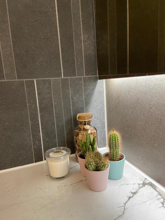Qualis Apartament Braşov Exteriör bild