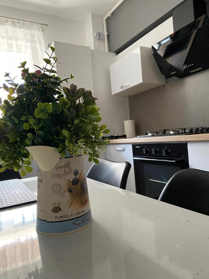 Qualis Apartament Braşov Exteriör bild